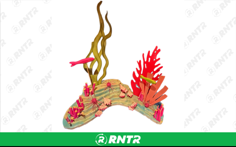 Generic Large Coral Reef – For rent in Portland, Oregon – Peter Corvallis Productions | RNTR.com – Image 1