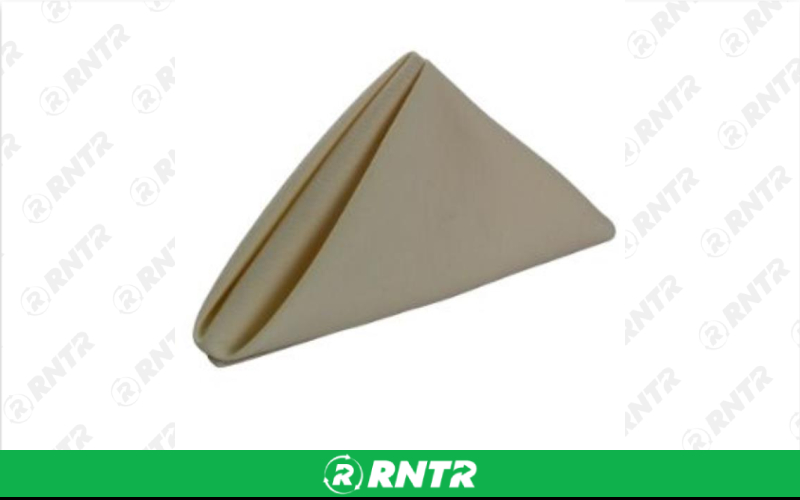 Generic LINEN FORTEX 20x20 PEARL NAPKIN – For rent in Fresno, California – Expo Party Rentals | RNTR.com – Image 1 of 1