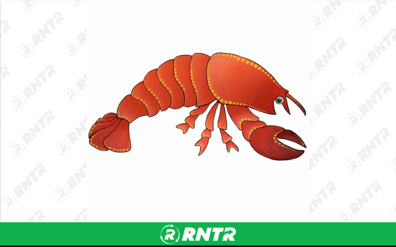Generic Lobster Sign – For rent in Portland, Oregon – Peter Corvallis Productions | RNTR.com – Image 1