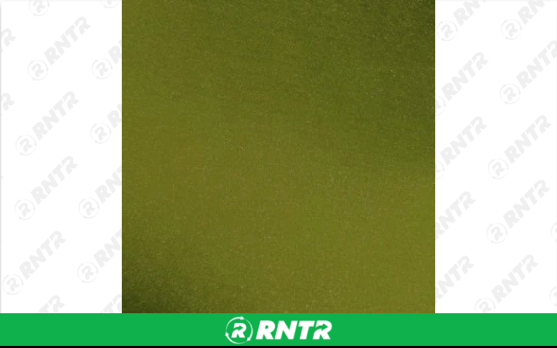 Organza Linen - Pistachio - 90in x 156in Banquet – For rent in Englewood, Colorado – Allwell Rents | RNTR.com – Image 1 of 1
