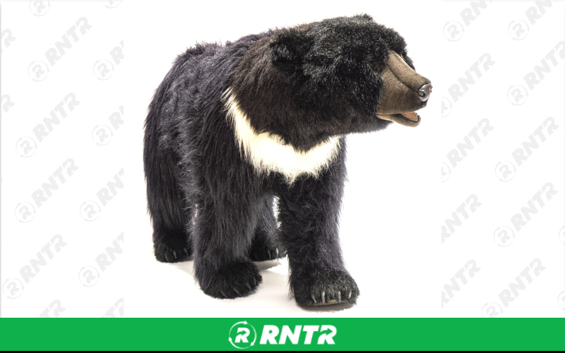 Generic Plush Black Bear Statue – For rent in Portland, Oregon – Peter Corvallis Productions | RNTR.com – Image 1