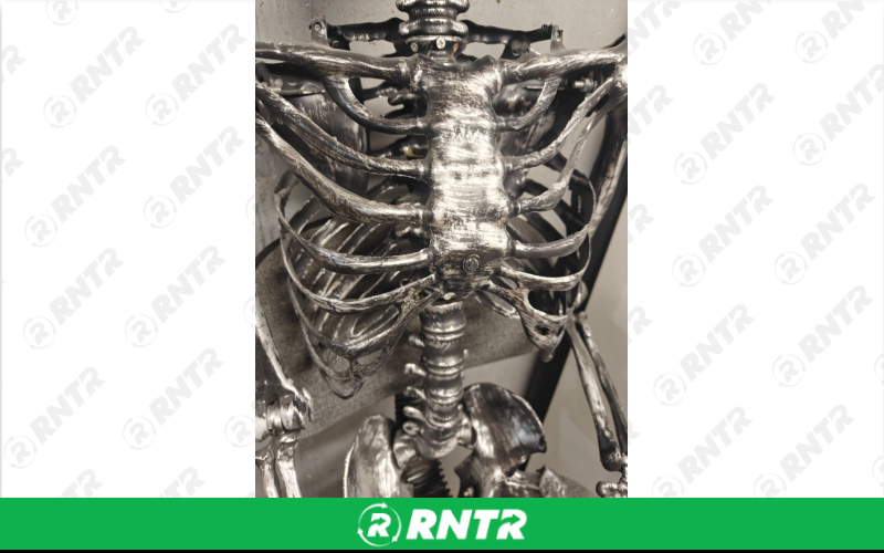 Michaels Craft Store Poseable 5 foot Silver &amp; Black Skeleton – For rent in Florissant, Missouri – Petes Action Rentals | RNTR.com – Image 3 of 6
