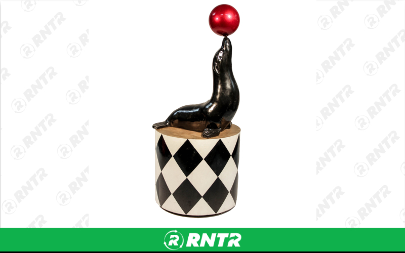 Generic Seal with Ball – For rent in Portland, Oregon – Peter Corvallis Productions | RNTR.com – Image 1