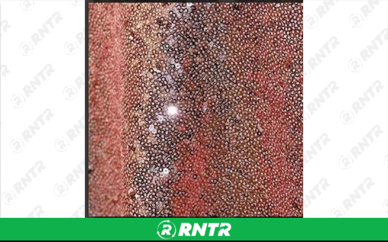  Sequin Linen - Blush - 84in x 84in Overlay – For rent in englewood, colorado – Allwell Rents | RNTR.com – Image 1