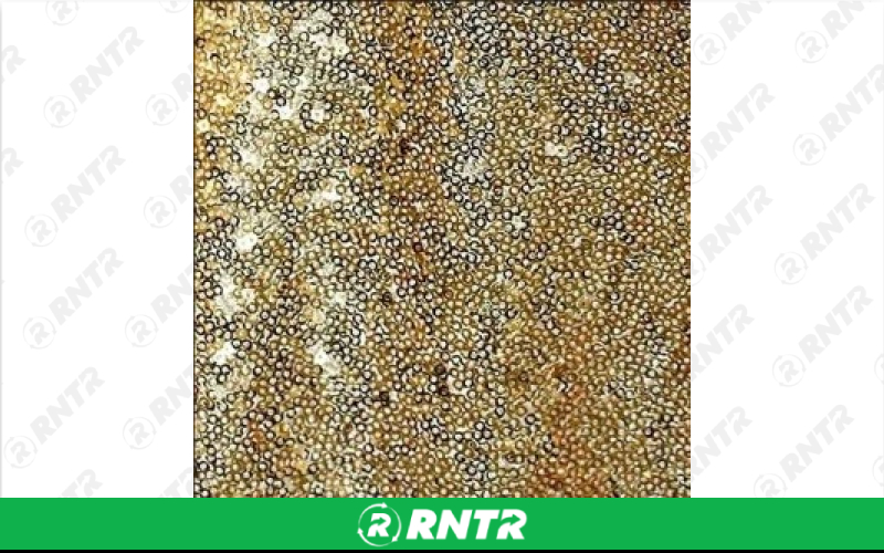  Sequin Linen - Gold - 90in x 156in Banquet – For rent in Englewood, Colorado – Allwell Rents | RNTR.com – Image 1 of 1