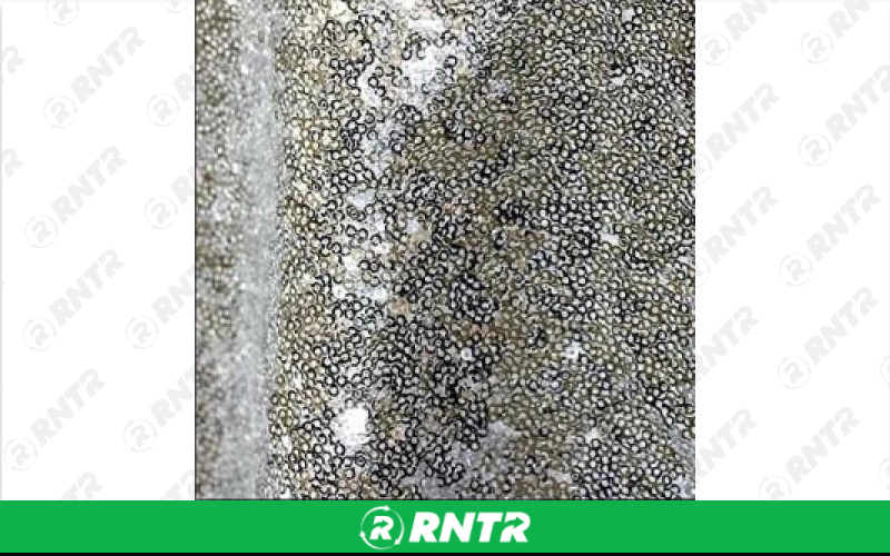  Sequin Linen - Silver - 120in Round – For rent in englewood, colorado – Allwell Rents | RNTR.com – Image 1