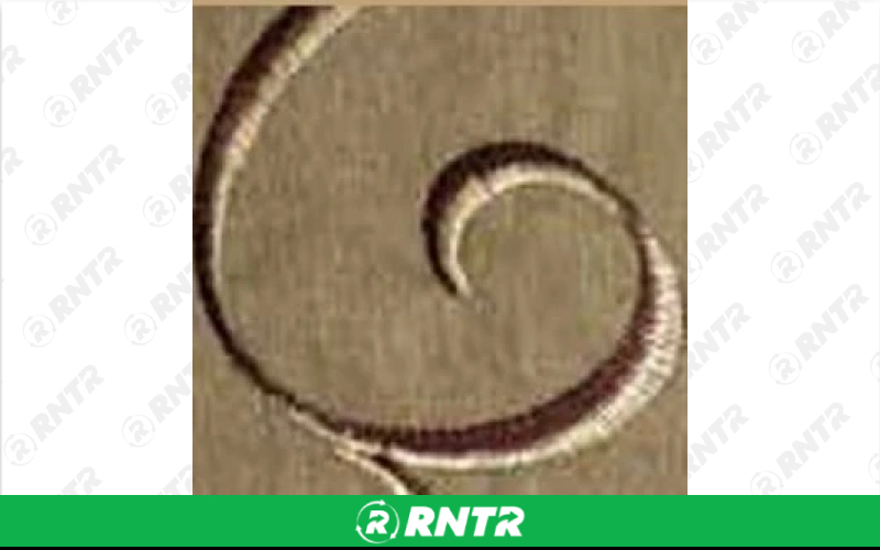  Silk Linen - Bamboo Swirl - 108in Round – For rent in Englewood, Colorado – Allwell Rents | RNTR.com – Image 1 of 1