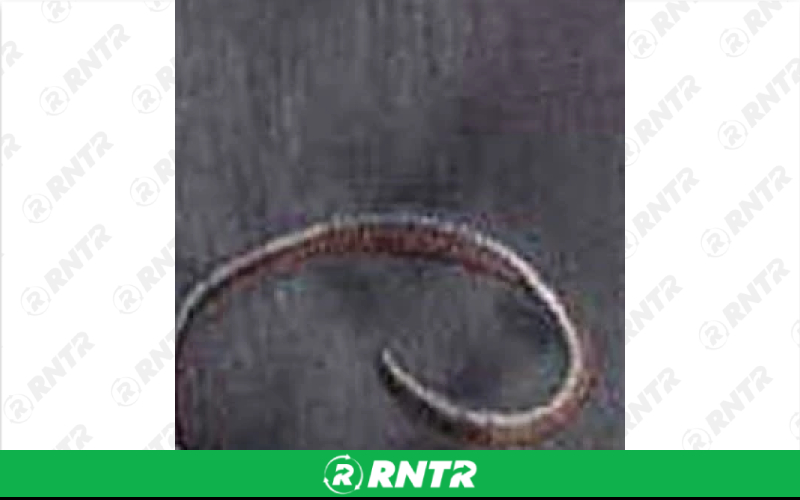  Silk Linen - Slate Blue Swirl – For rent in Englewood, Colorado – Allwell Rents | RNTR.com – Image 1 of 1