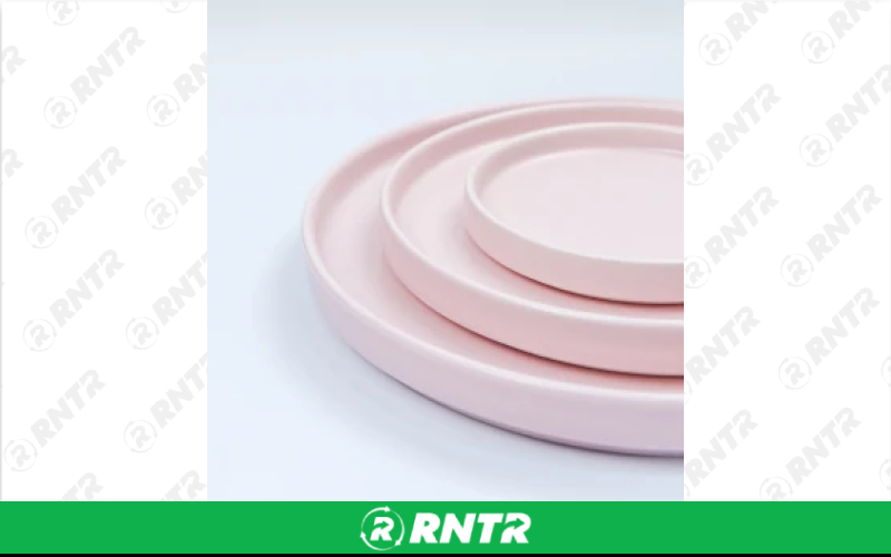  Stoneware China Rose - Dinner Plate 10in – For rent in englewood, colorado – Allwell Rents | RNTR.com – Image 1