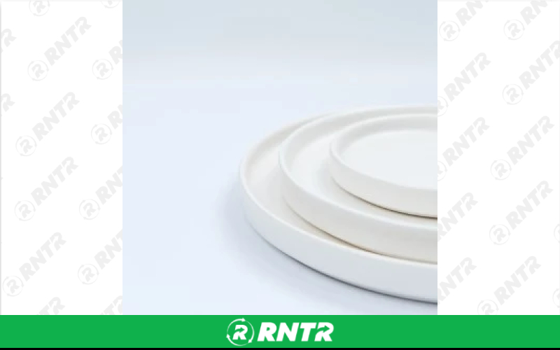  Stoneware – White - Salad Plate 8in – For rent in englewood, colorado – Allwell Rents | RNTR.com – Image 1
