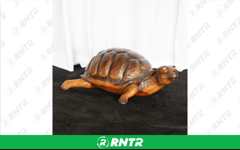 Generic Turtle Statue – For rent in Portland, Oregon – Peter Corvallis Productions | RNTR.com – Image 1
