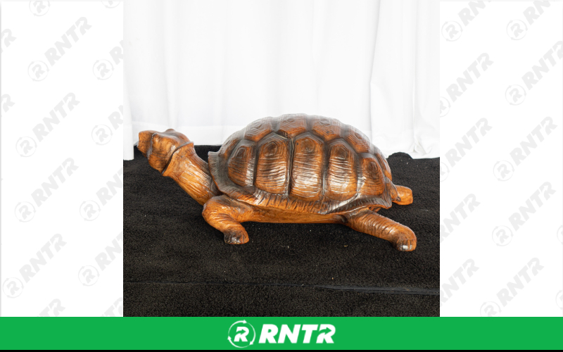 Generic Turtle Statue – For rent in Portland, Oregon – Peter Corvallis Productions | RNTR.com – Image 3 of 3