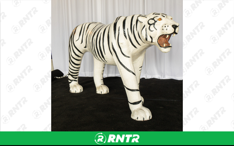 Generic White Tiger Statue – For rent in Portland, Oregon – Peter Corvallis Productions | RNTR.com – Image 3 of 3