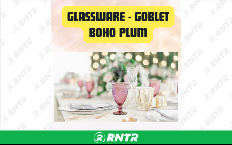 Generic Glassware Boho Plum Goblet – For rent in san-marcos, california – aras party rentals | RNTR.com – Image 1