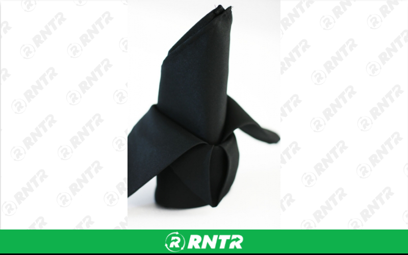 Generic Napkins -  20x20 (lot of 10) – For rent in wenonah, new-jersey – Y By Rental | RNTR.com – Image 1