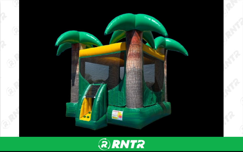 Generic PALM TREE BOUNCER – For rent in Isanti, Minnesota – Isanti Rental Inc | RNTR.com – Image 1