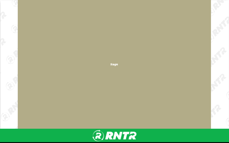 Generic 90 x 56 Rectangular Linen - Sage – For rent in New Braunfels, Texas – Hill Country Event Rentals | RNTR.com – Image 2 of 2