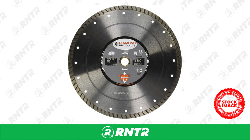 DIAMOND BLADE-12in DRY inDIAM. PRODUCTSin for rent in Eau Claire, WI
