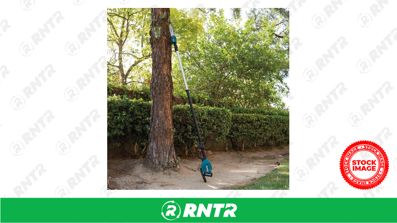 PRUNER (BATTERY) 40V MAX XGT 10ftft POLE for rent in Eau Claire, WI