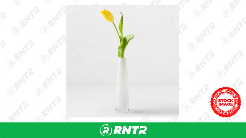  VASE-BUD (WHITE GLASS) – For rent in Eau Claire, Wisconsin – A-1 Express Rental Center, Inc | RNTR.com – Image 1